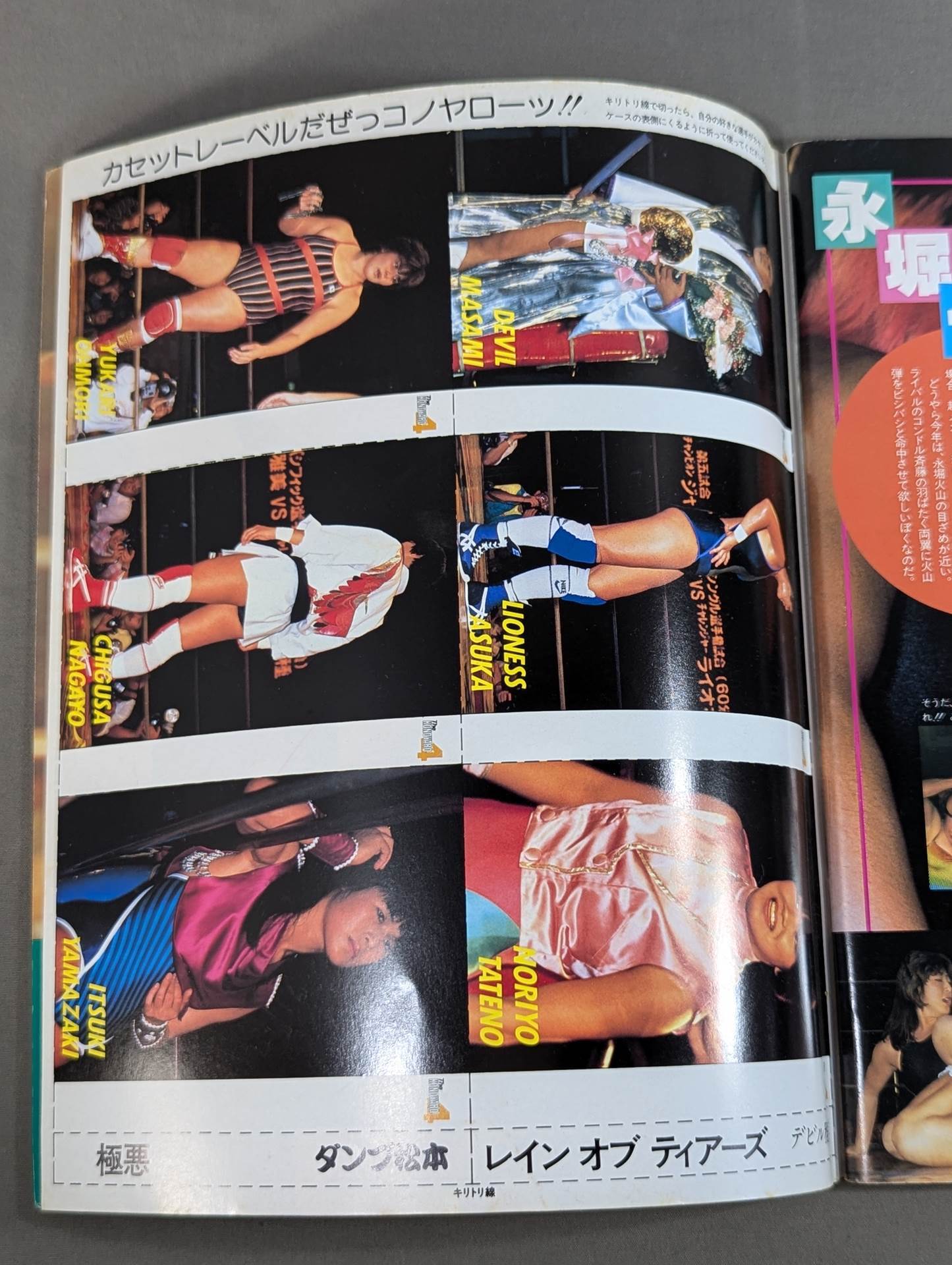 Women's Pro Wrestling 4 Seriously, Konoyaro!!