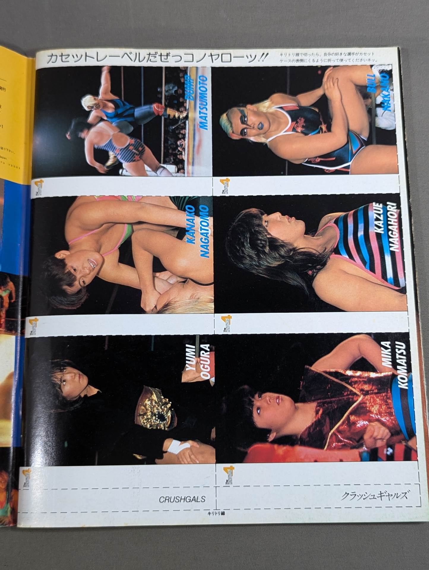 Women's Pro Wrestling 4 Seriously, Konoyaro!!