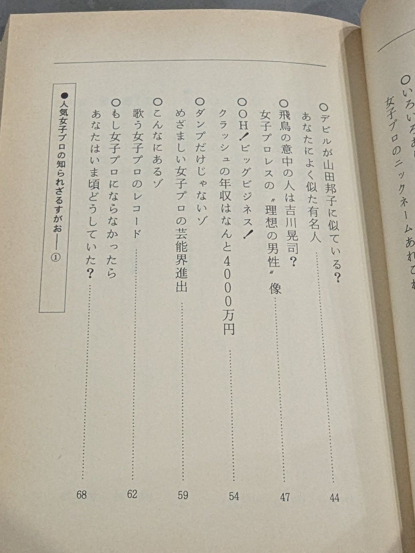 なんてったって女子プロレス