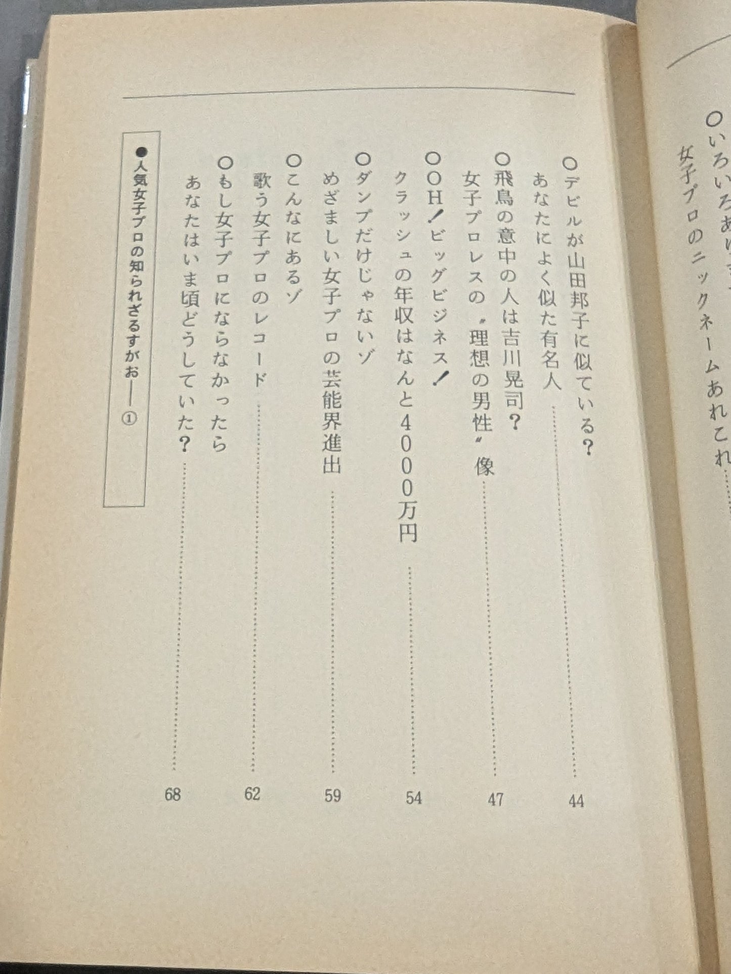 なんてったって女子プロレス