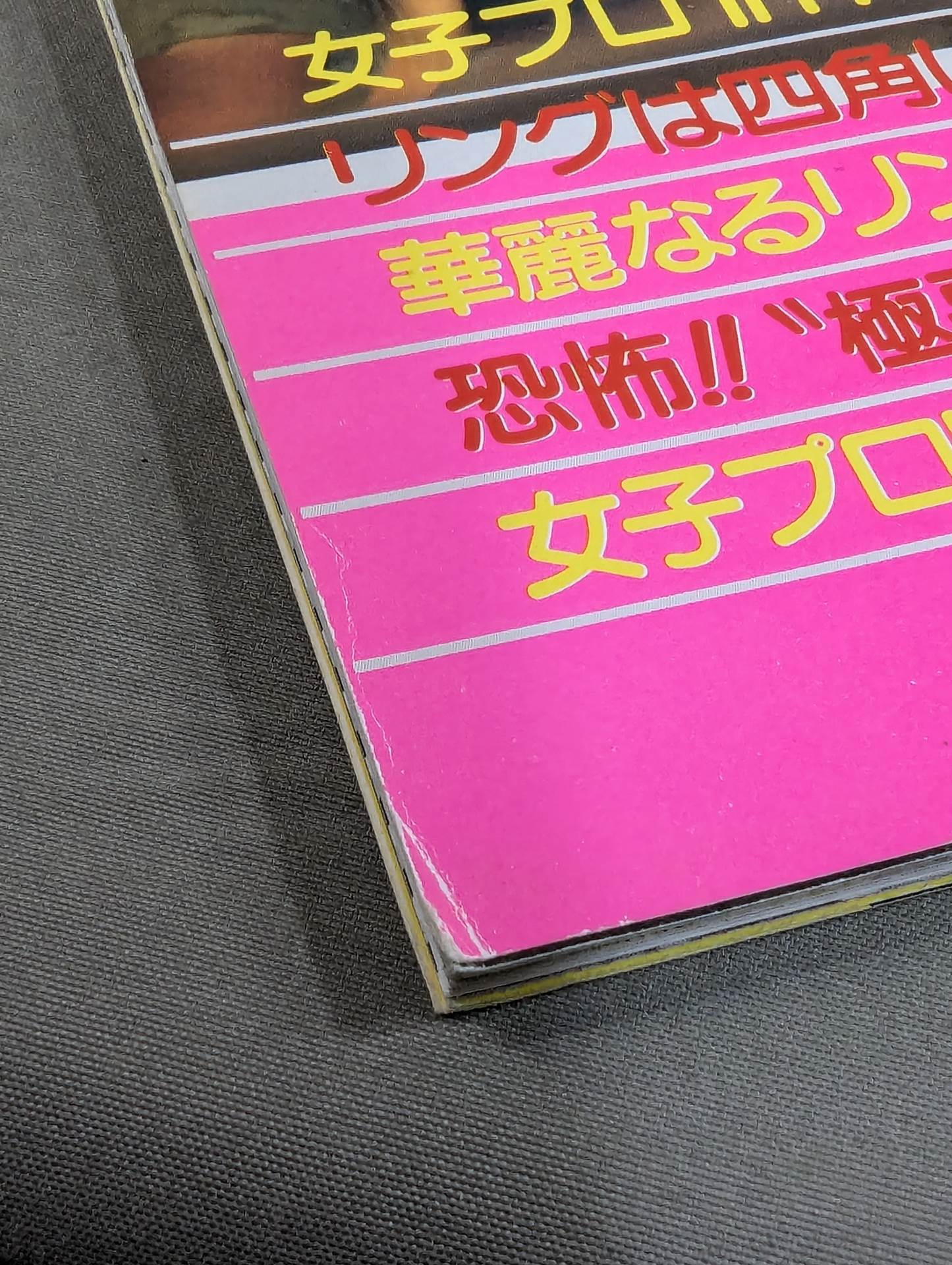 女子プロレス’85 炎のコノヤローッ!!