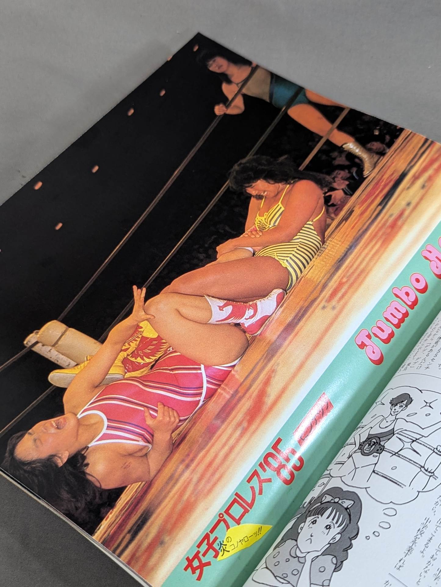 女子プロレス’85 炎のコノヤローッ!!