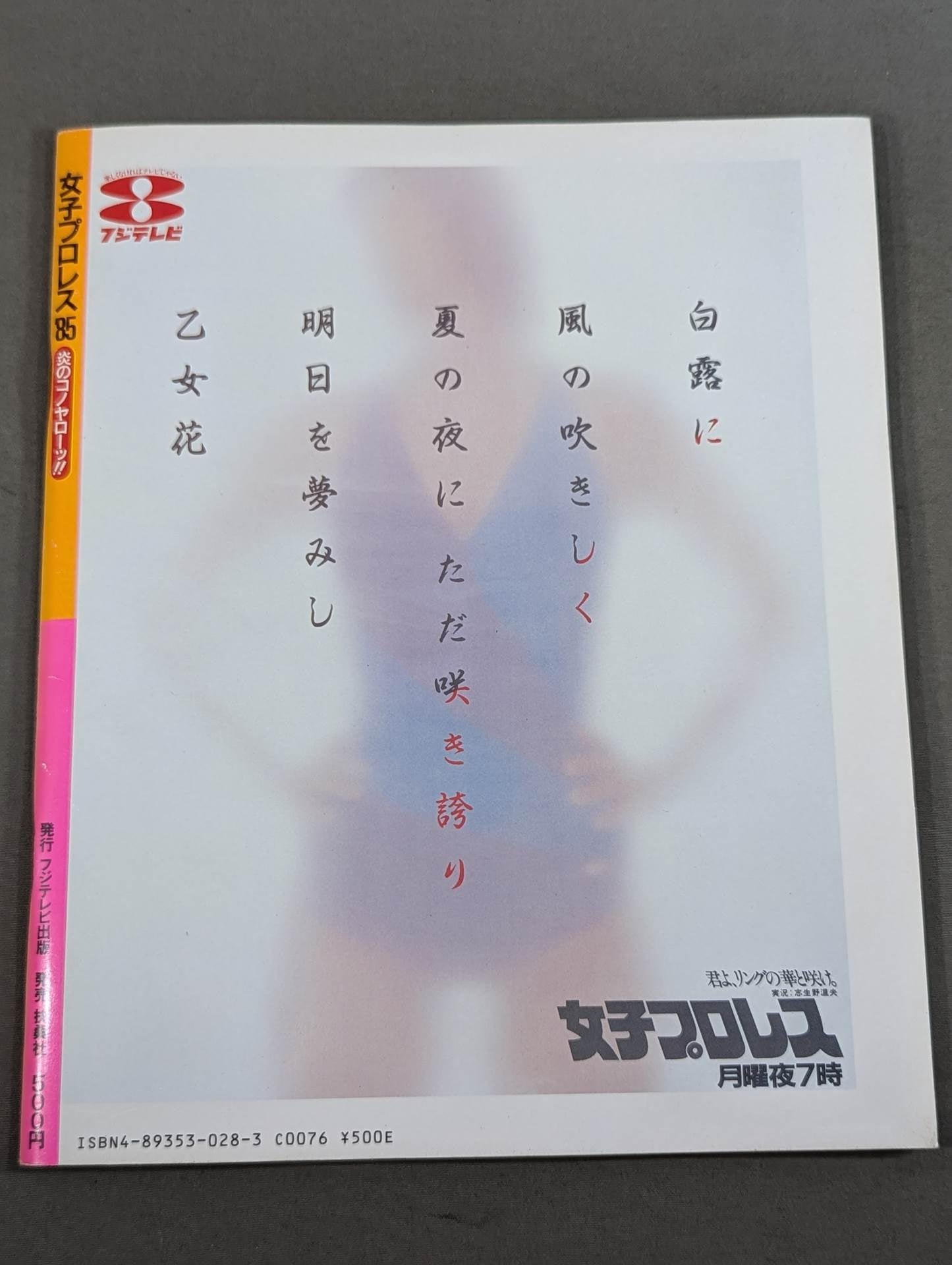 女子プロレス’85 炎のコノヤローッ!!