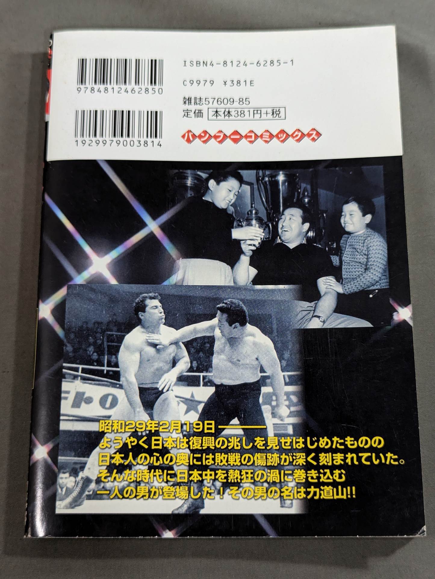True Story Rikidozan Legend Japan Pro Wrestling Dawn of