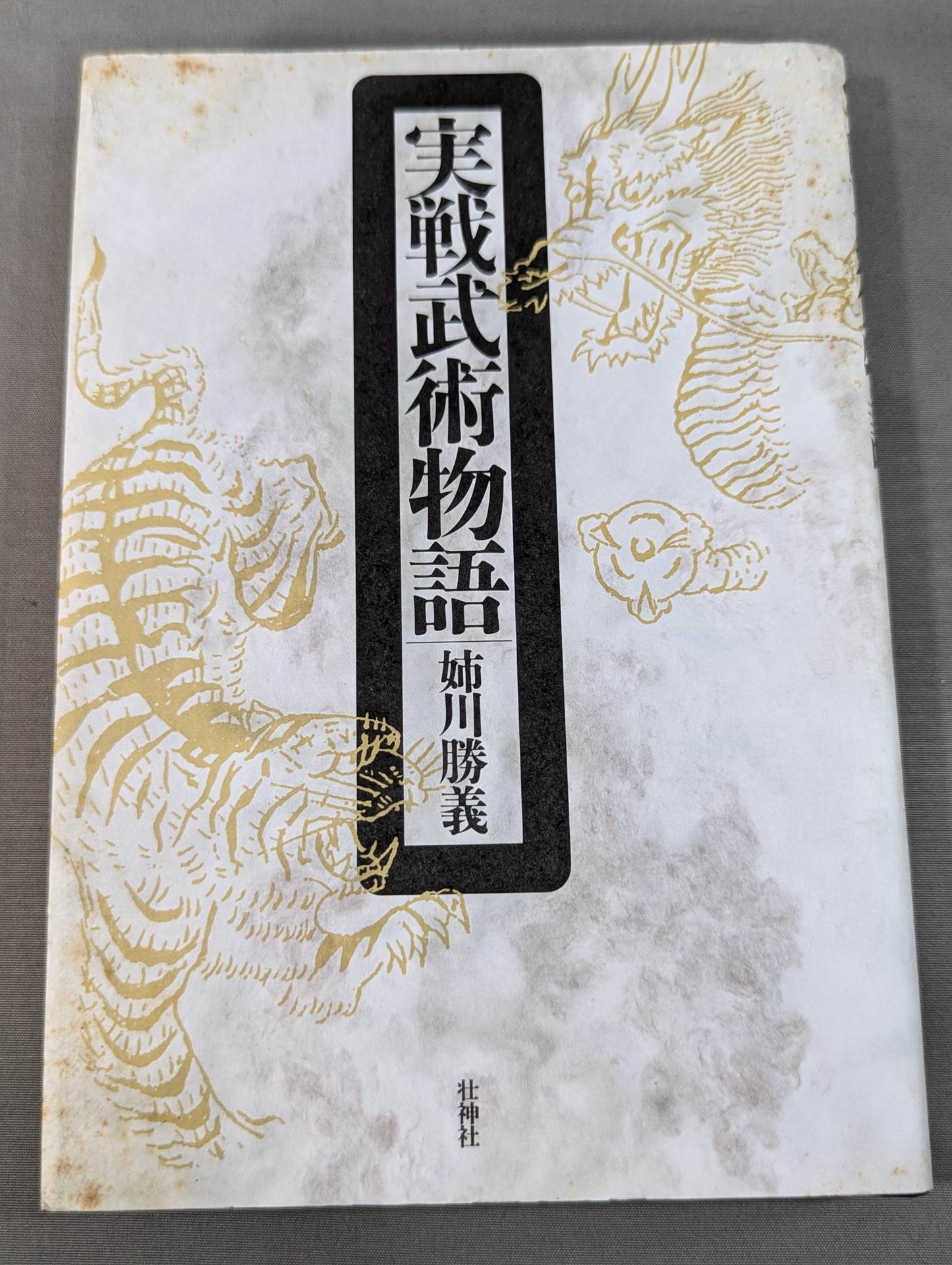 Martial arts stories