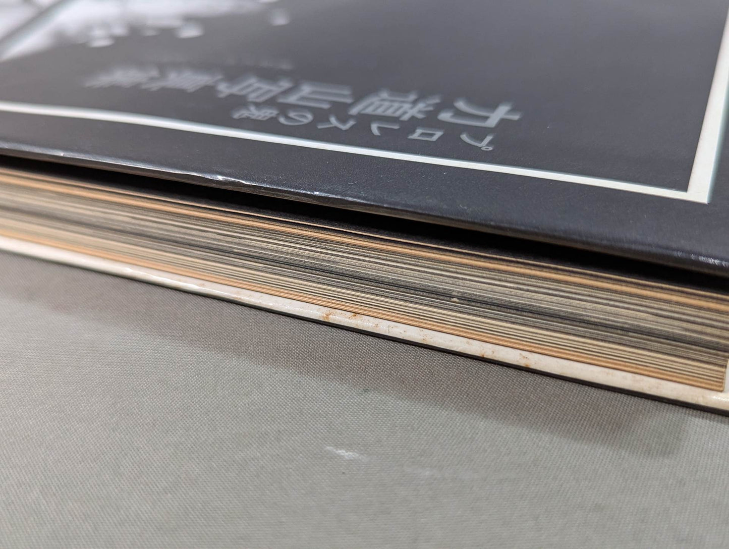 Pro Wrestling Demon Rikidozan Photo Collection