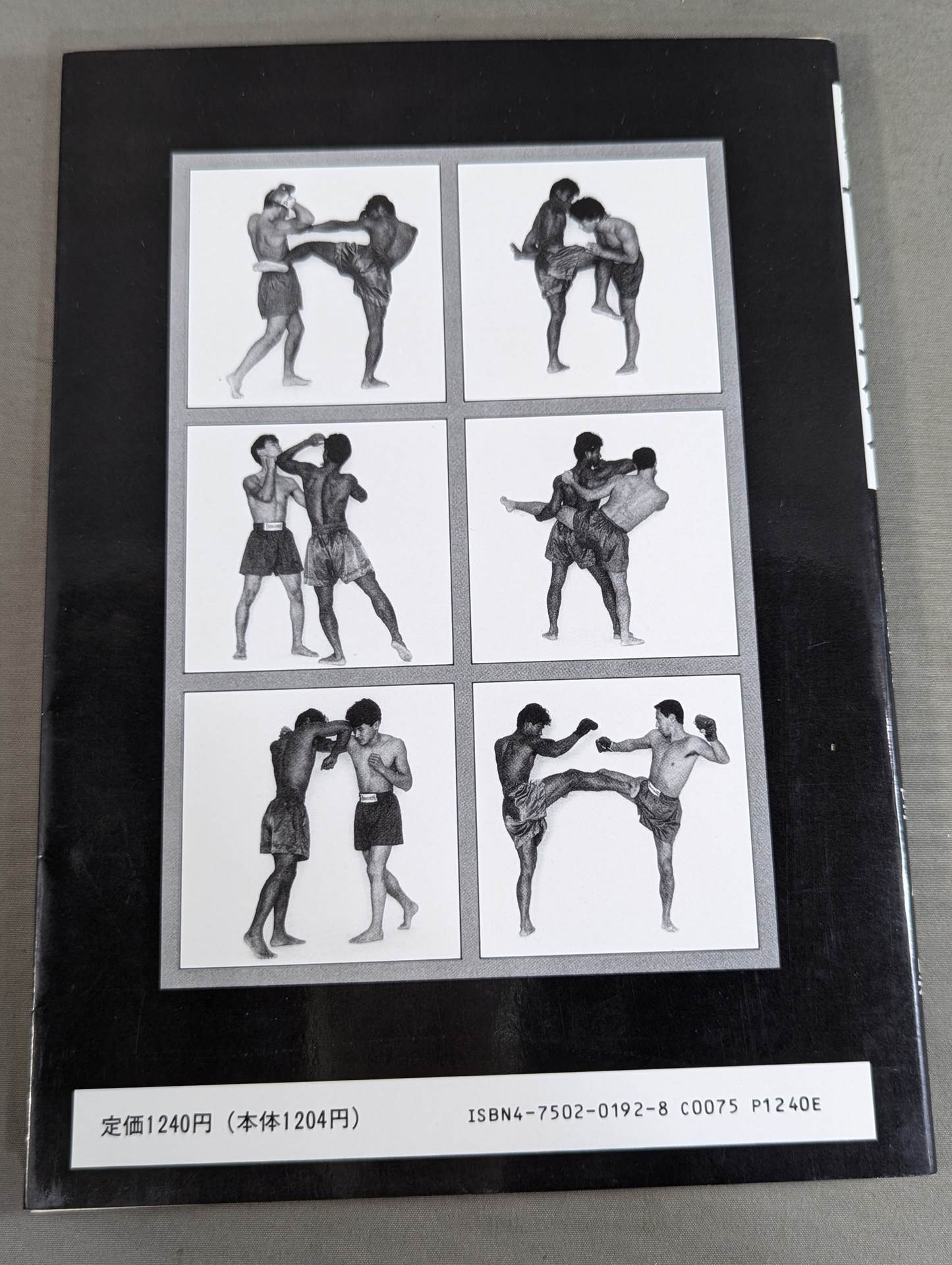The strongest martial arts The Muay Thai analyze the mysterious martial arts