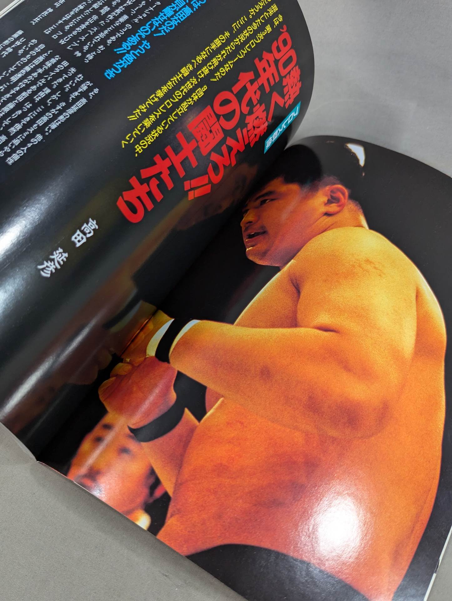 プロレス革命(レボリューション) vol.1 リングに燃える闘士たち!!