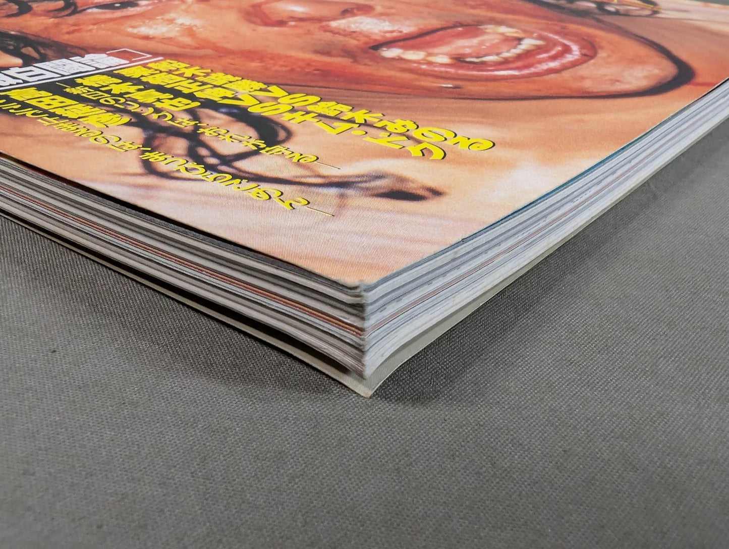 プロレス革命(レボリューション) vol.1 リングに燃える闘士たち!!