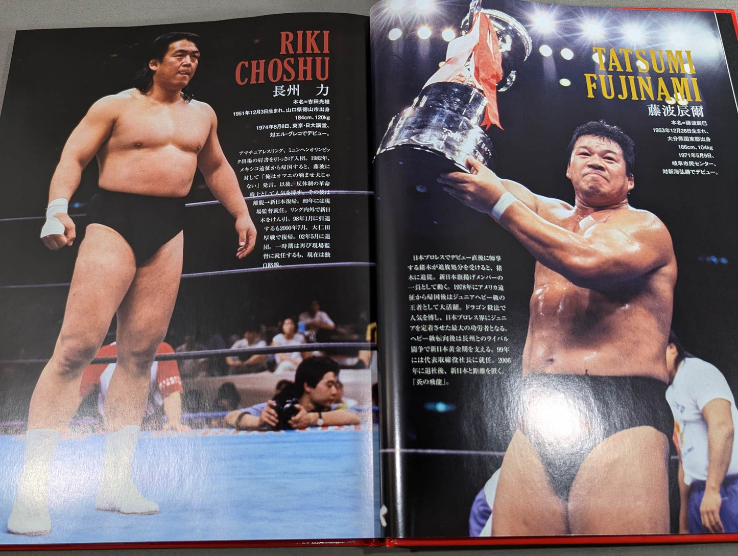 新日本プロレス40年史《創立40周年記念愛蔵版》