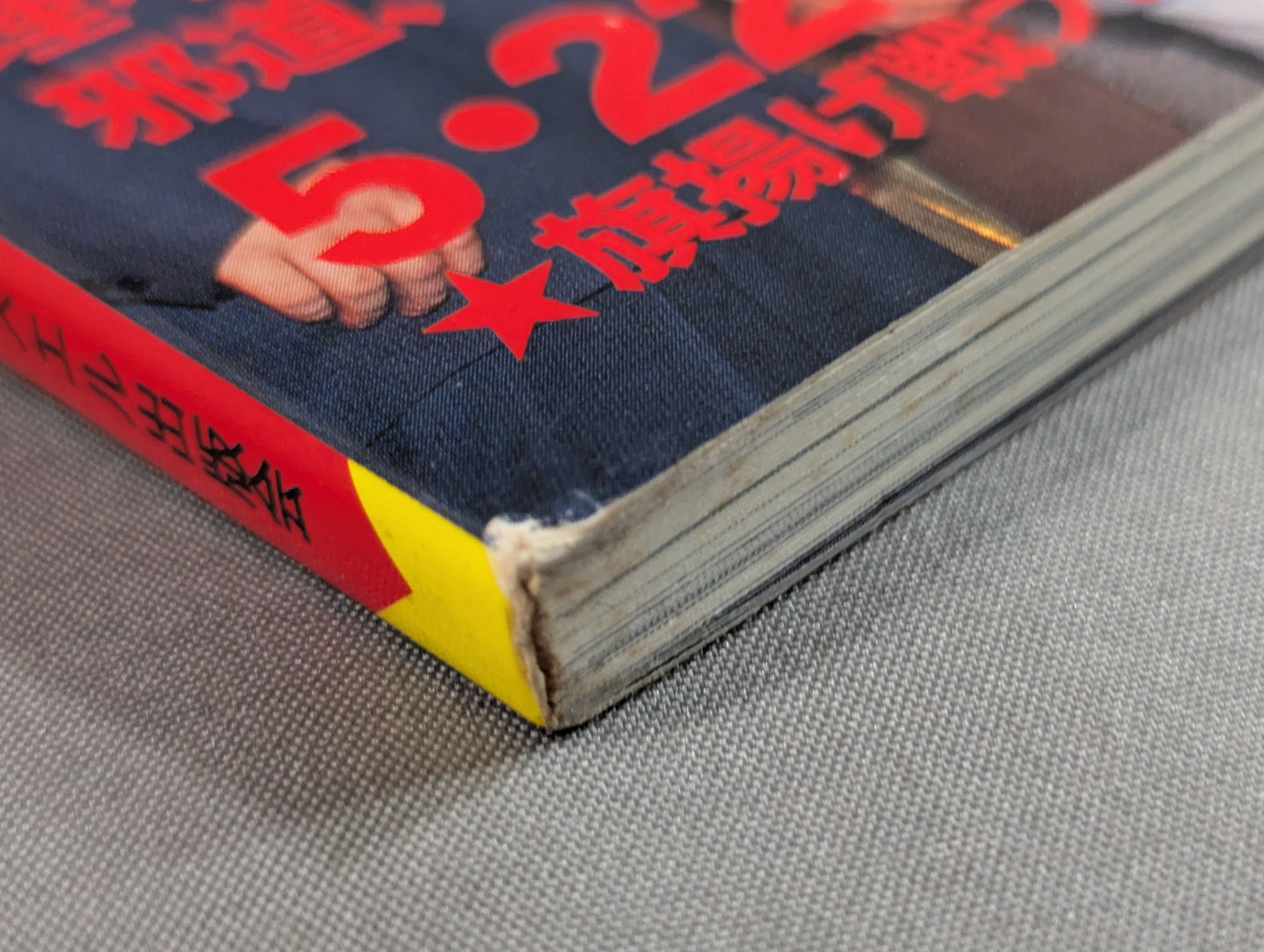 プロレス・ファン31