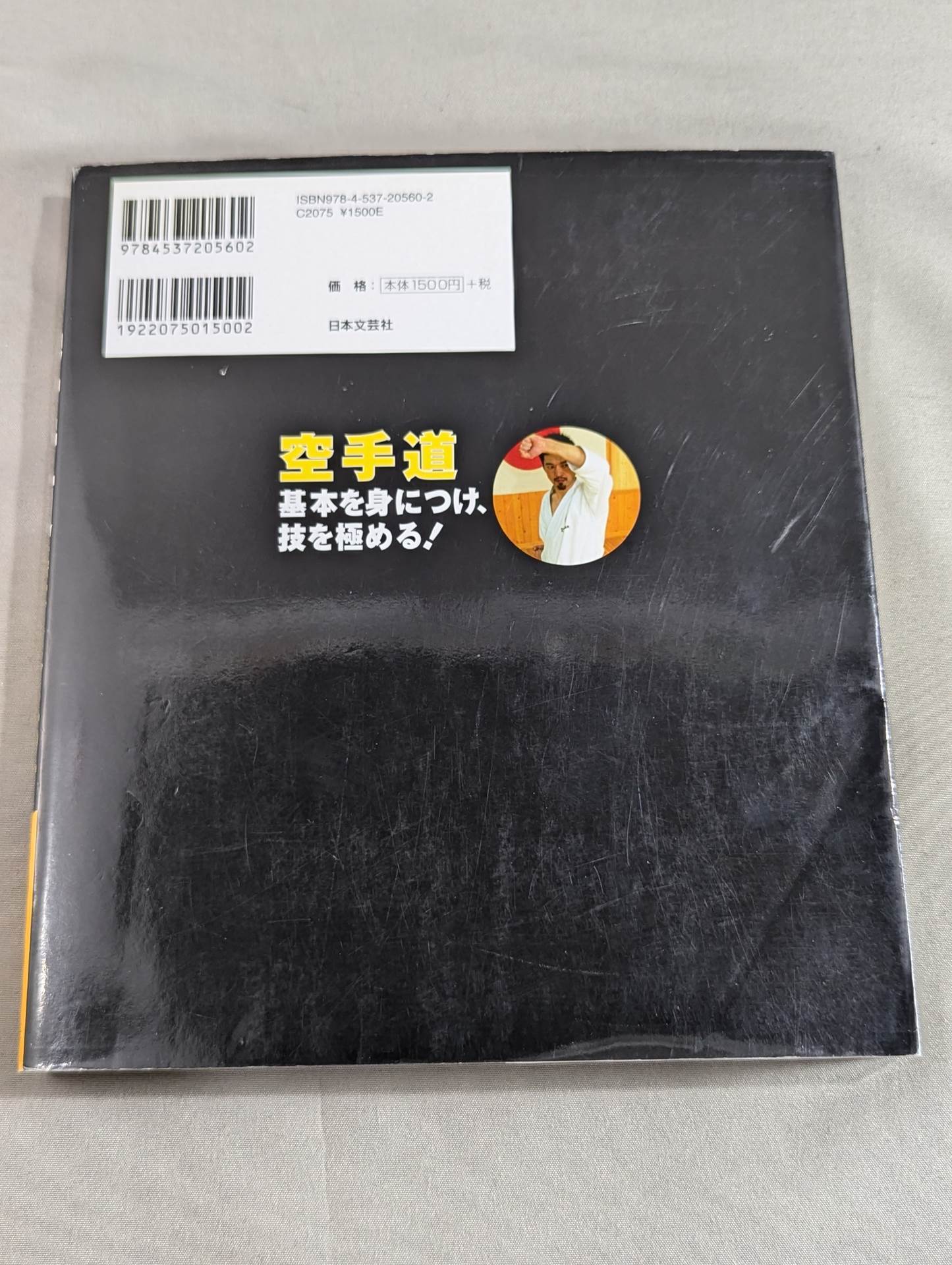 【DVD付】空手道 基本を身につけ、技を極める!