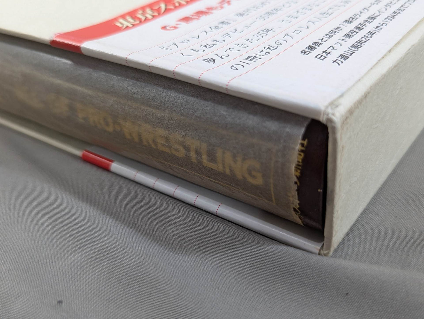 Pro Wrestling ALL OF PRO- Wrestling