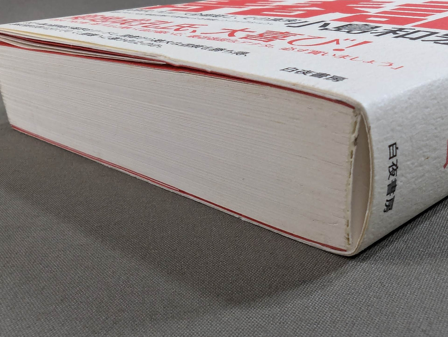 ぼくの週プロ青春記 90年代プロレス全盛期とその真実(帯付)