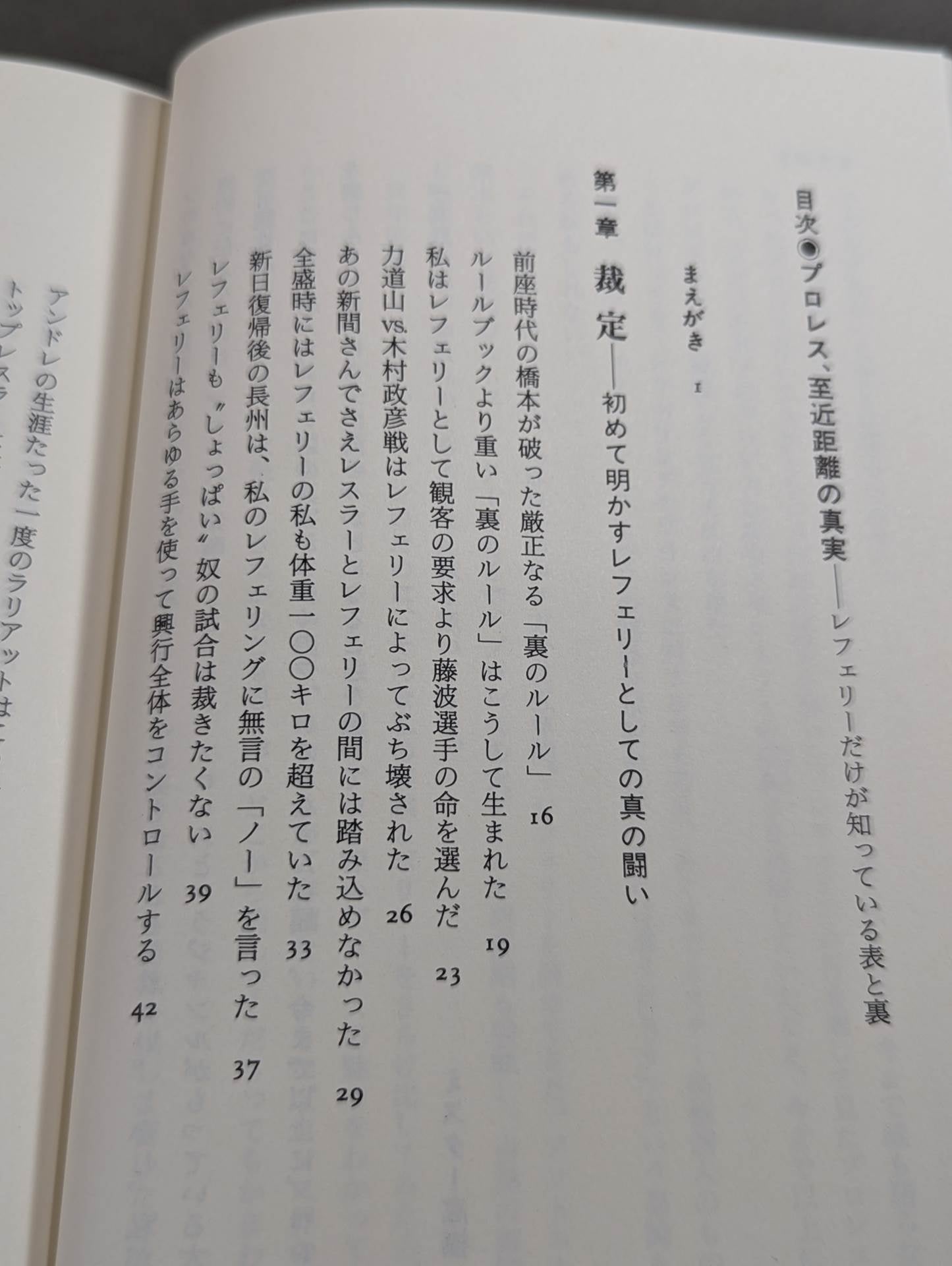 プロレス 至近距離の真実