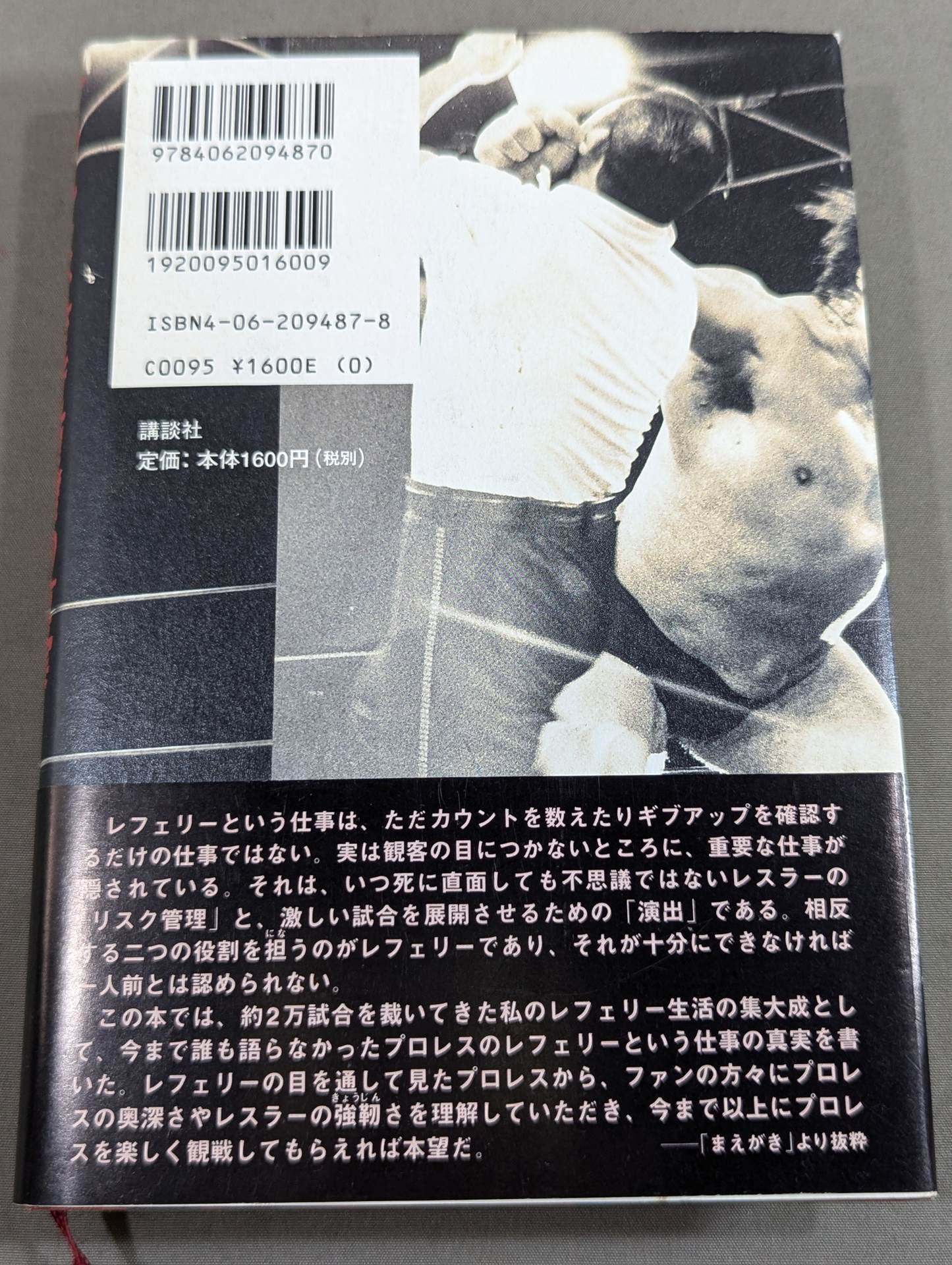 プロレス 至近距離の真実