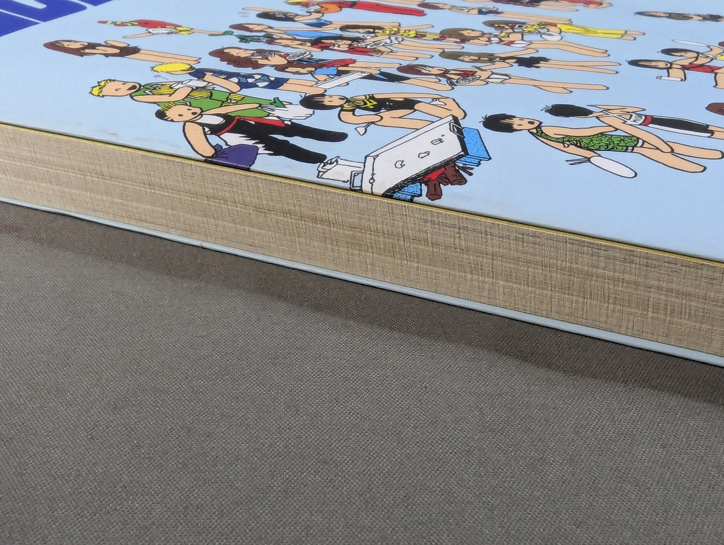 Pro Wrestling Girl R