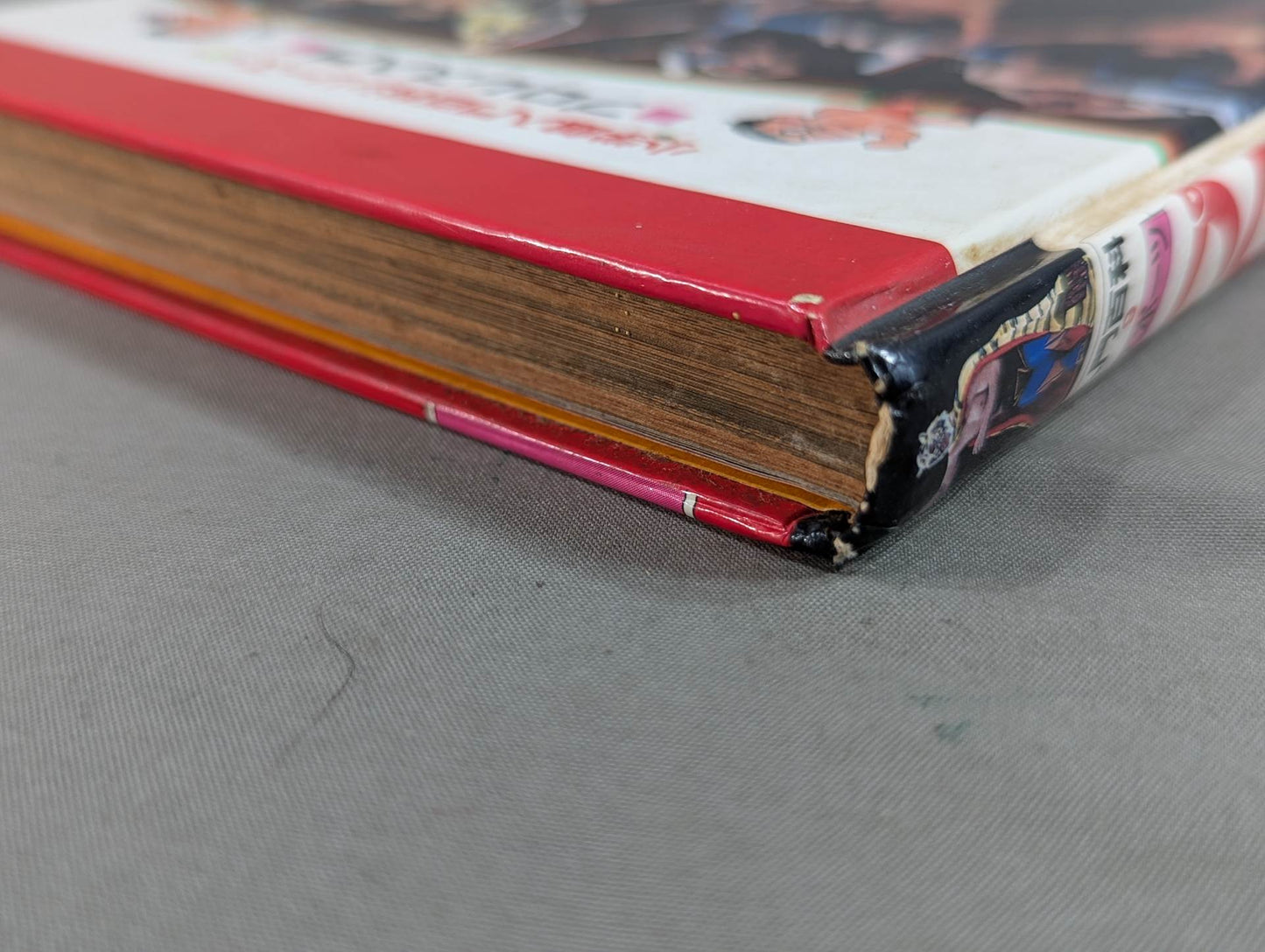 プロレス入門 小学館入門百科シリーズ⑨(改訂版)