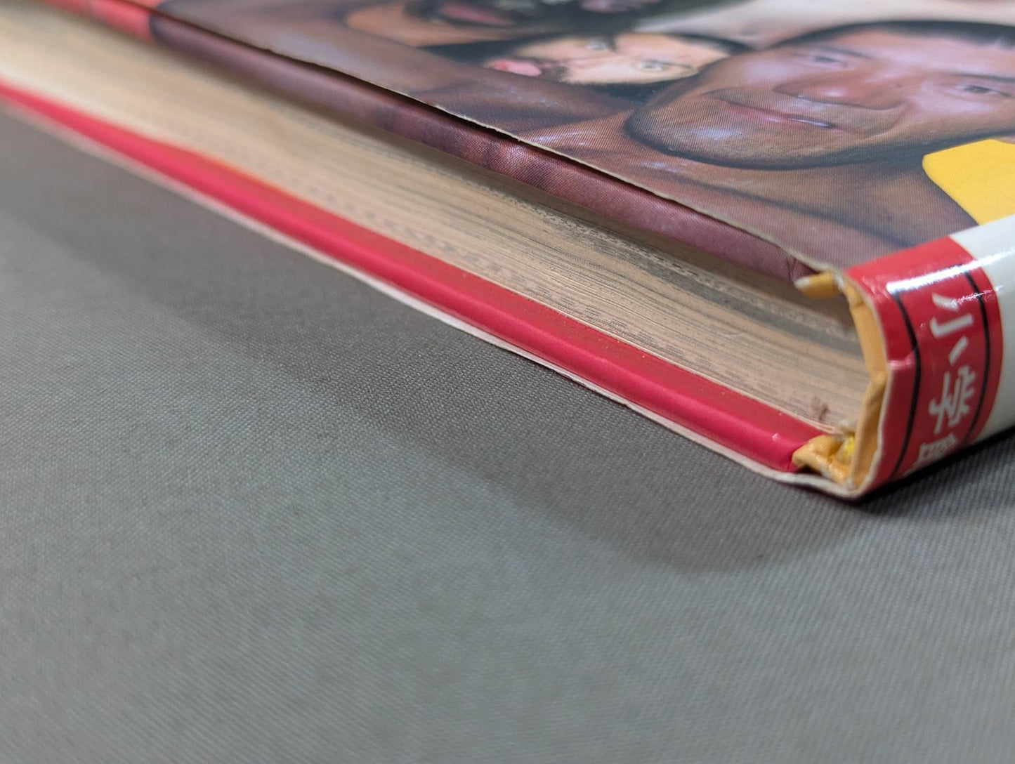 プロレス入門 小学館入門百科シリーズ⑨(改訂版)