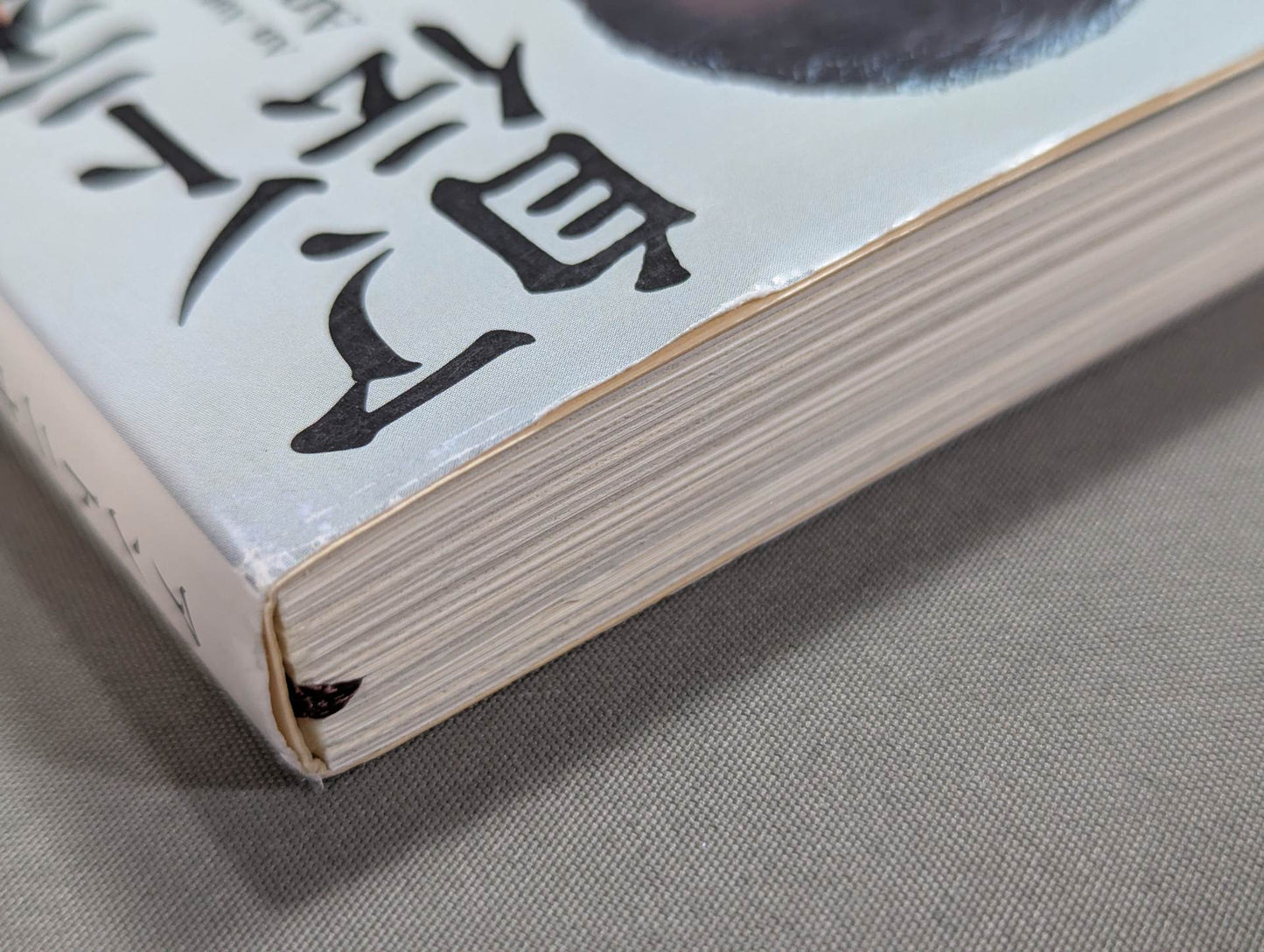 Antonio Inoki Autobiography