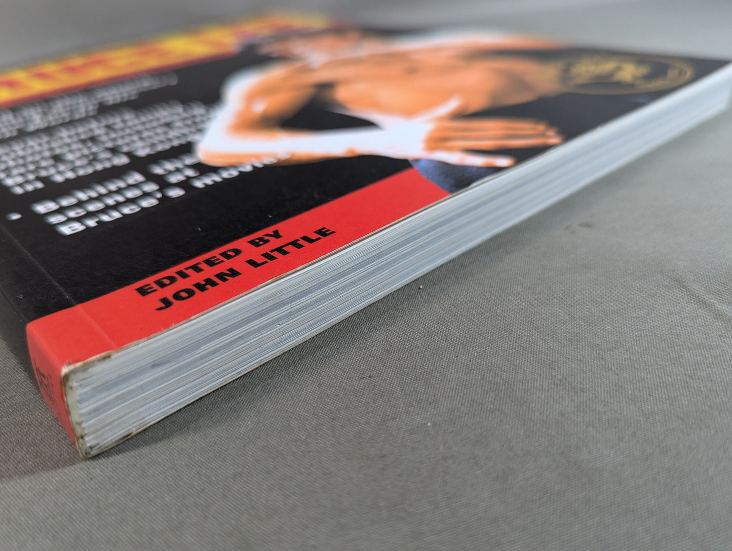 BRUCE LEE The Celebrated Life of the Golden Dragon