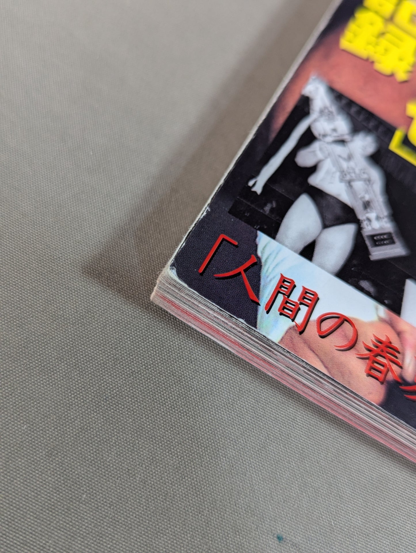 We liked the true theory Shinya Hashimoto