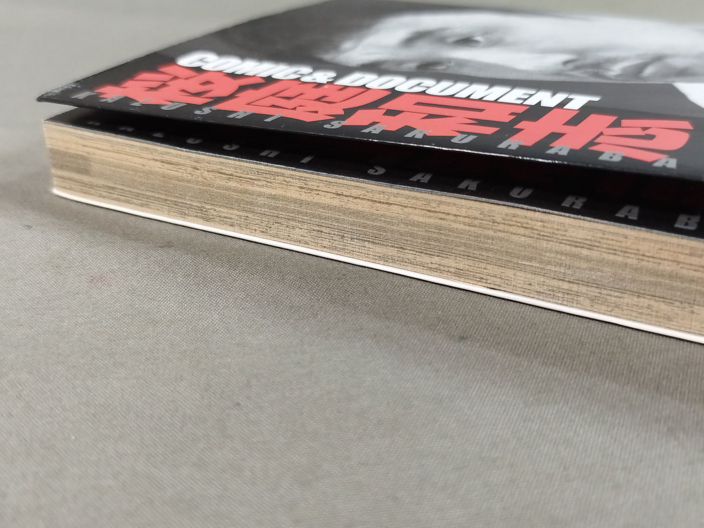 COMIC&DOCUMENT Kazushi Sakuraba