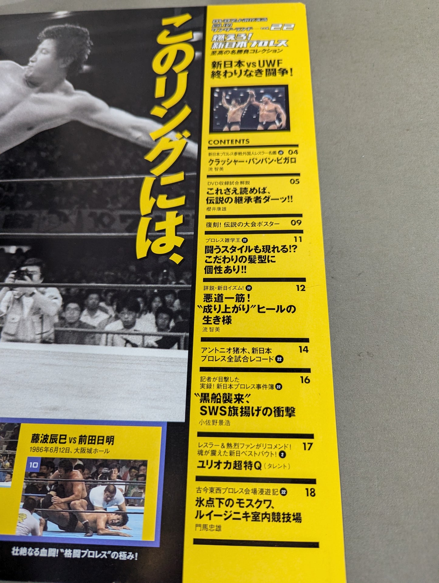 燃えろ!新日本プロレス vol.22