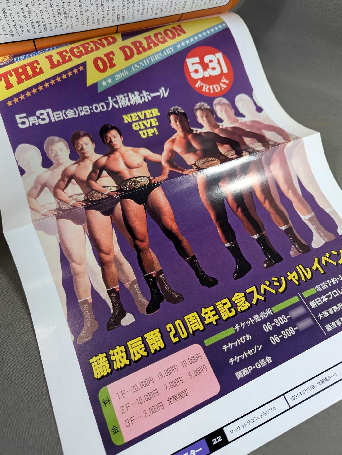 燃えろ!新日本プロレス vol.22