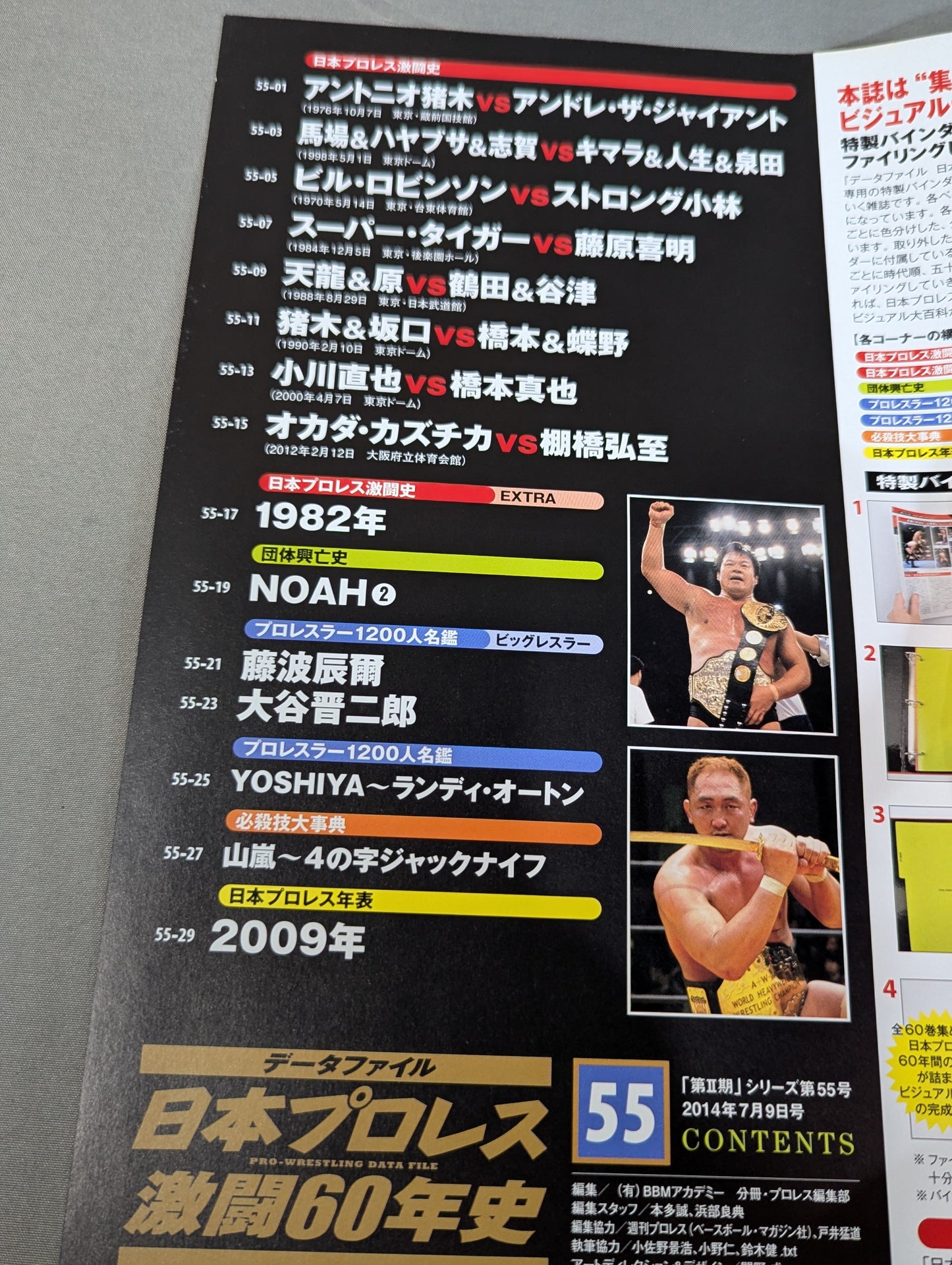 日本プロレス激闘60年史 (55)