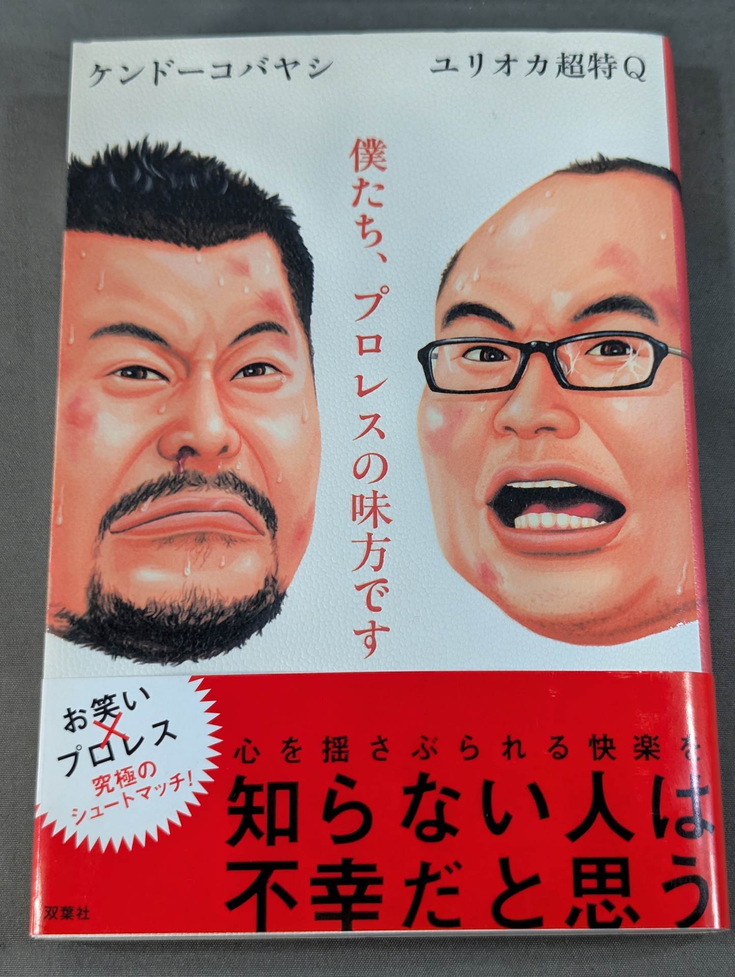 僕たち、プロレスの味方です