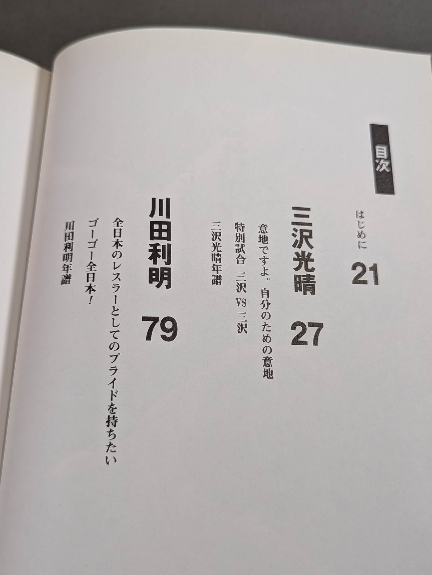 これがプロレス。ー四天王は語るー
