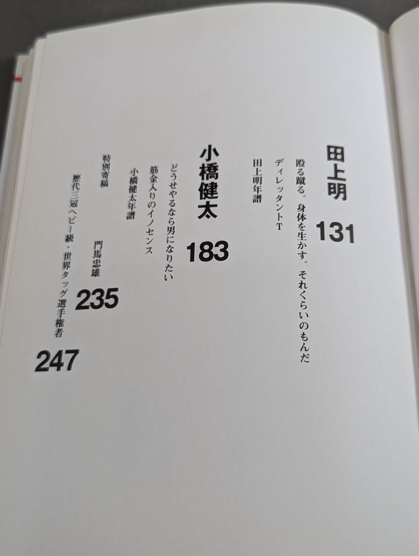 これがプロレス。ー四天王は語るー