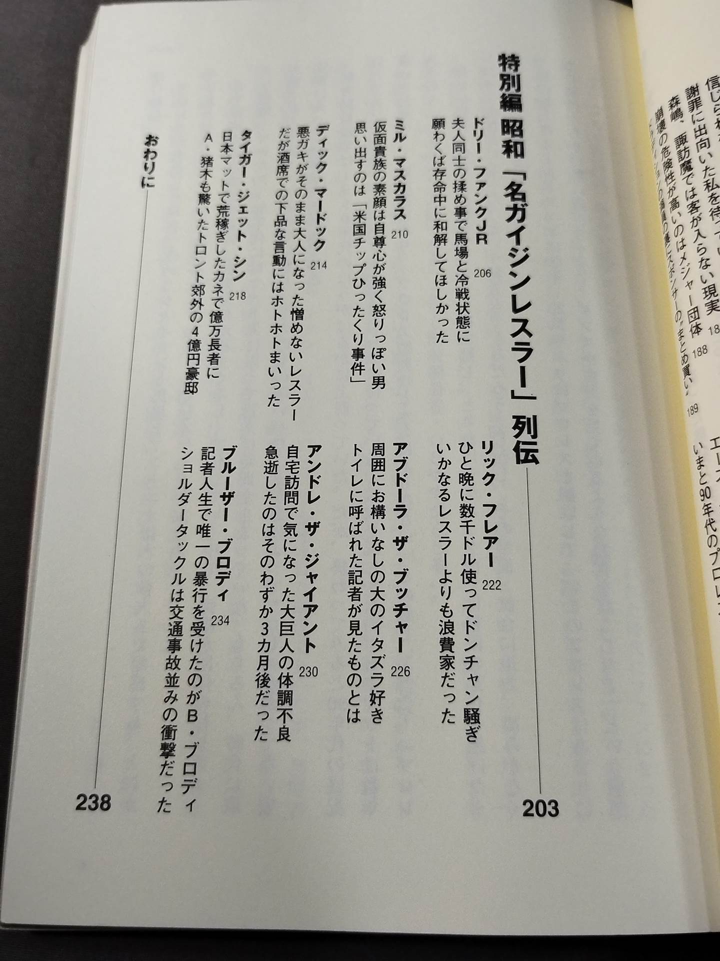 The Curse of the Fighting Spirit The Despair of the Royal Road The Foci of "Pro Wrestling Death" Hidden in the Golden Age of the Showa Mat World