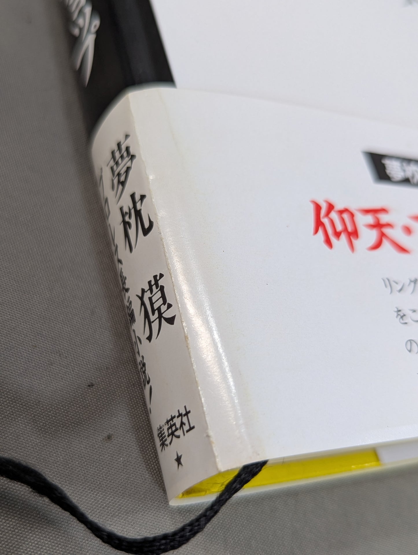 仰天・平成元年の空手チョップ