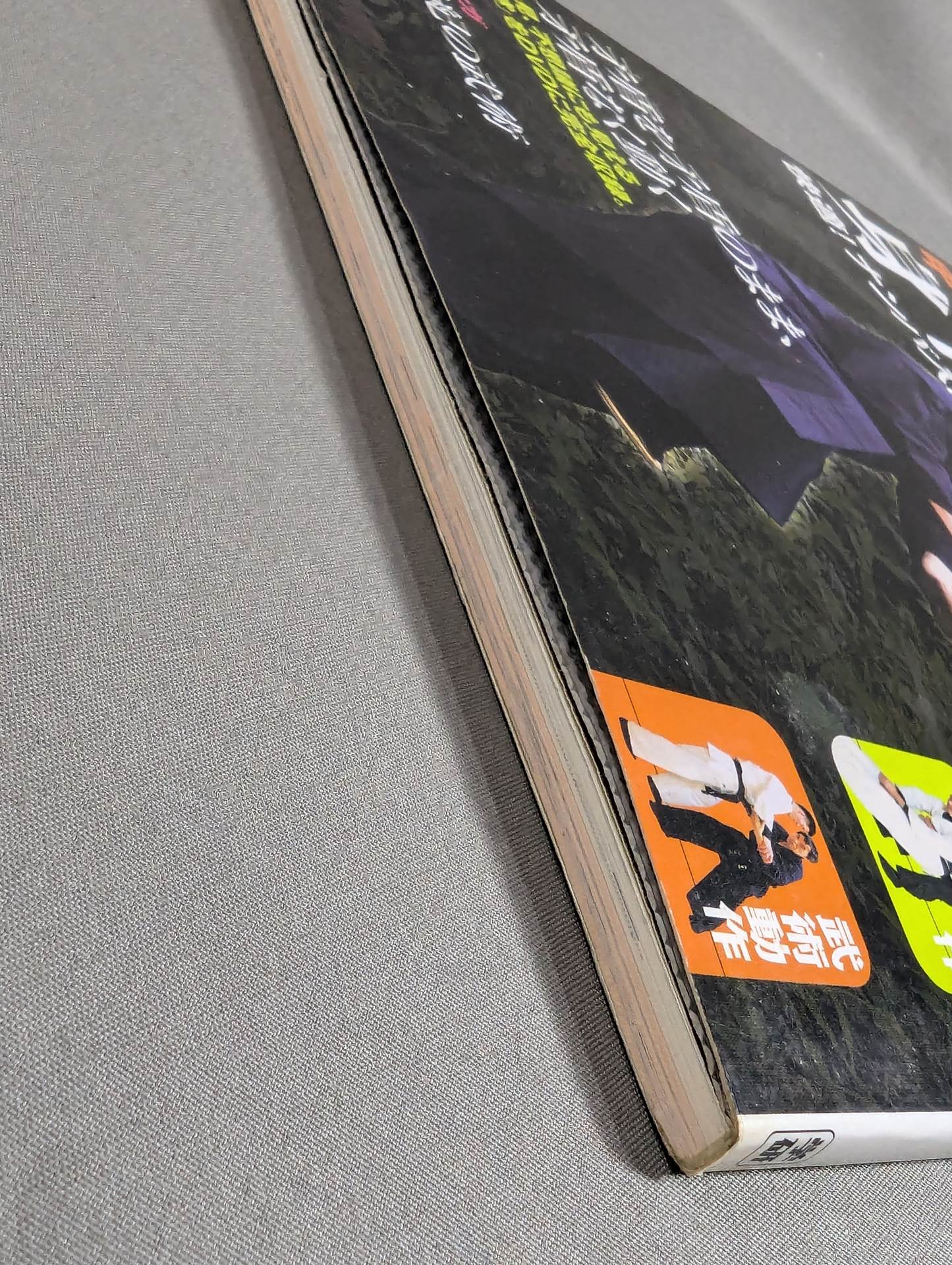 Yoshinori Kono's Body Revolution: DVD 60 minutes to understand!