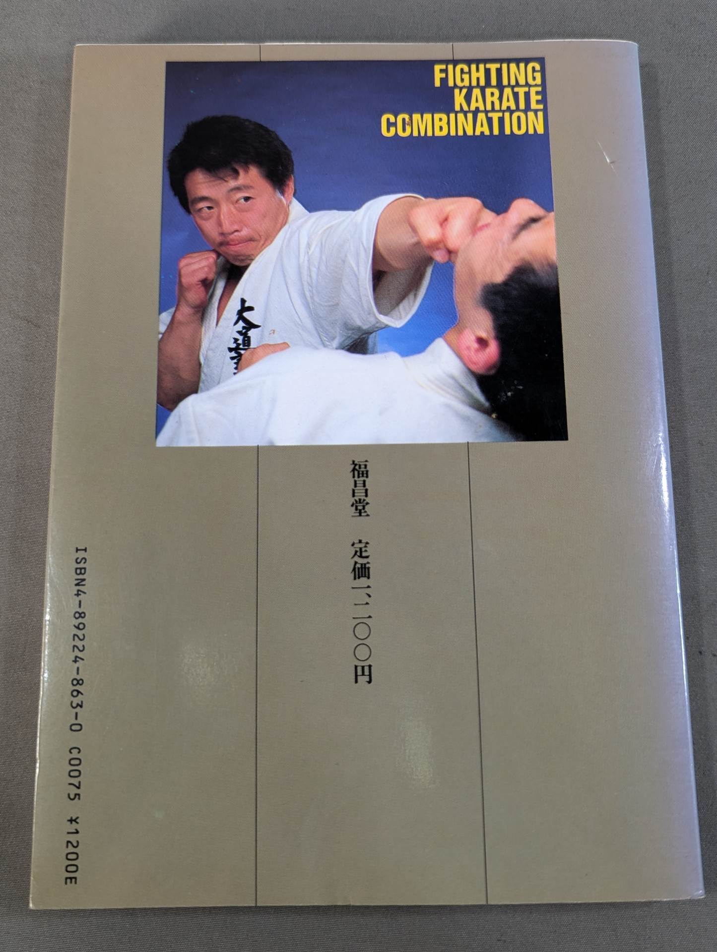 KARATE 2 FIGHTING KARATE COMBINATION