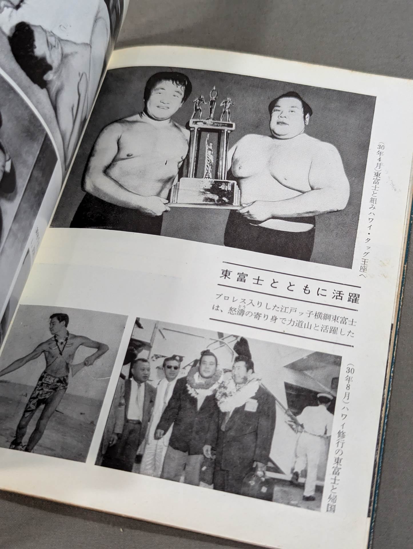 Rikidozan The Life of the Flower