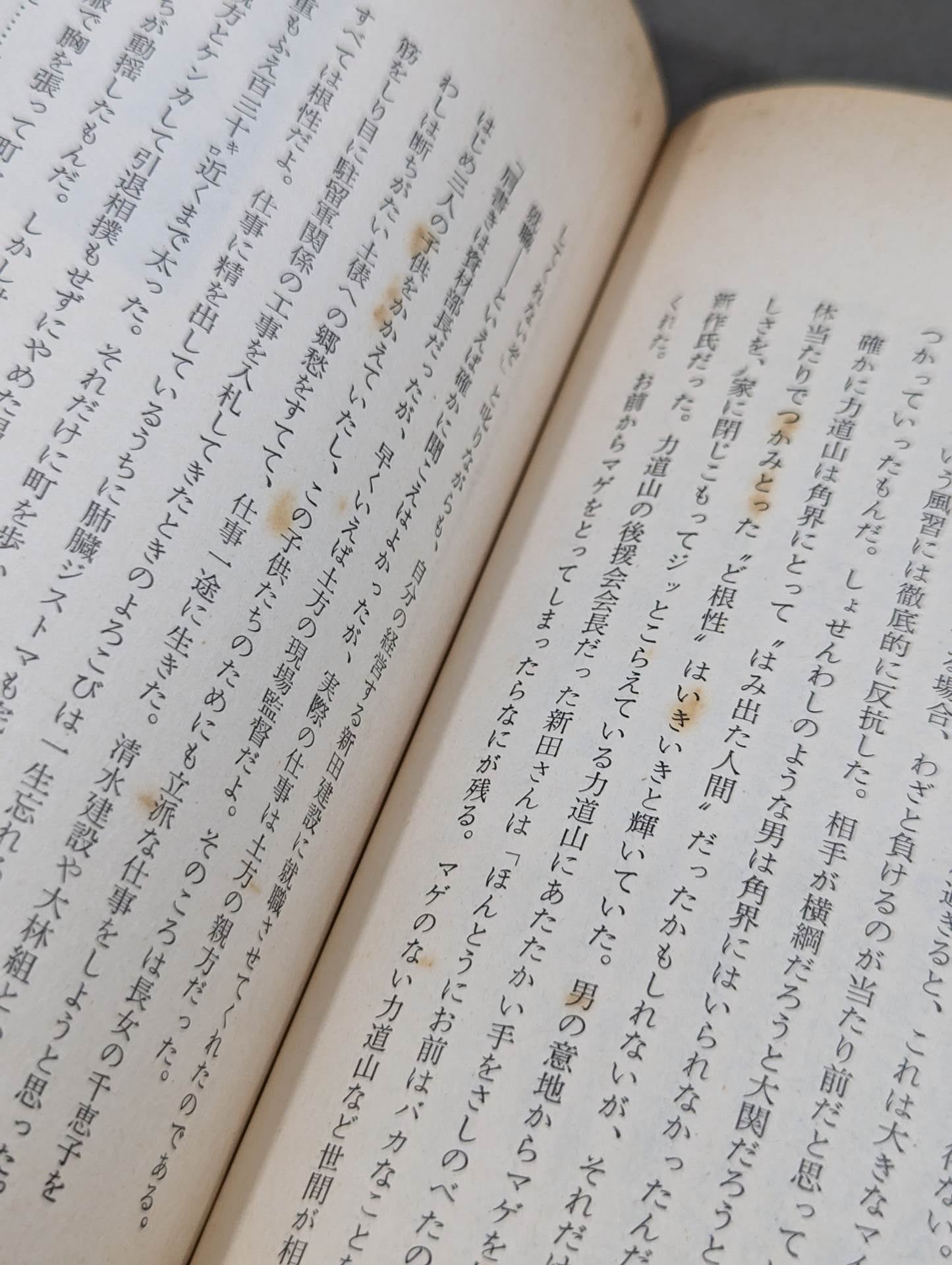 Rikidozan The Life of the Flower