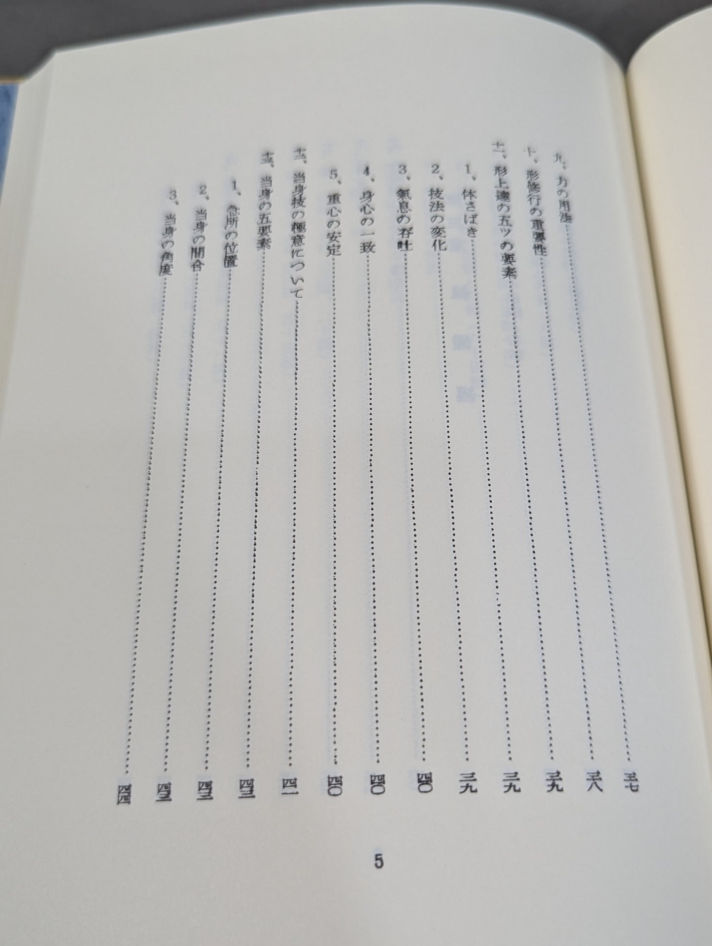 復刻版 日本傳正統北派少林寺拳法教範 初版