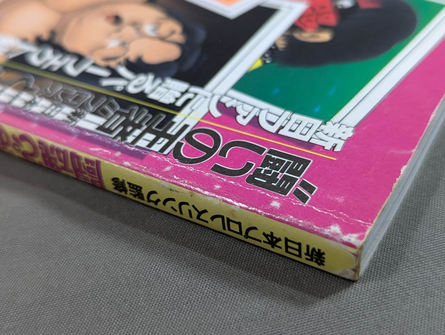 闘魂ぴあ SPECIAL