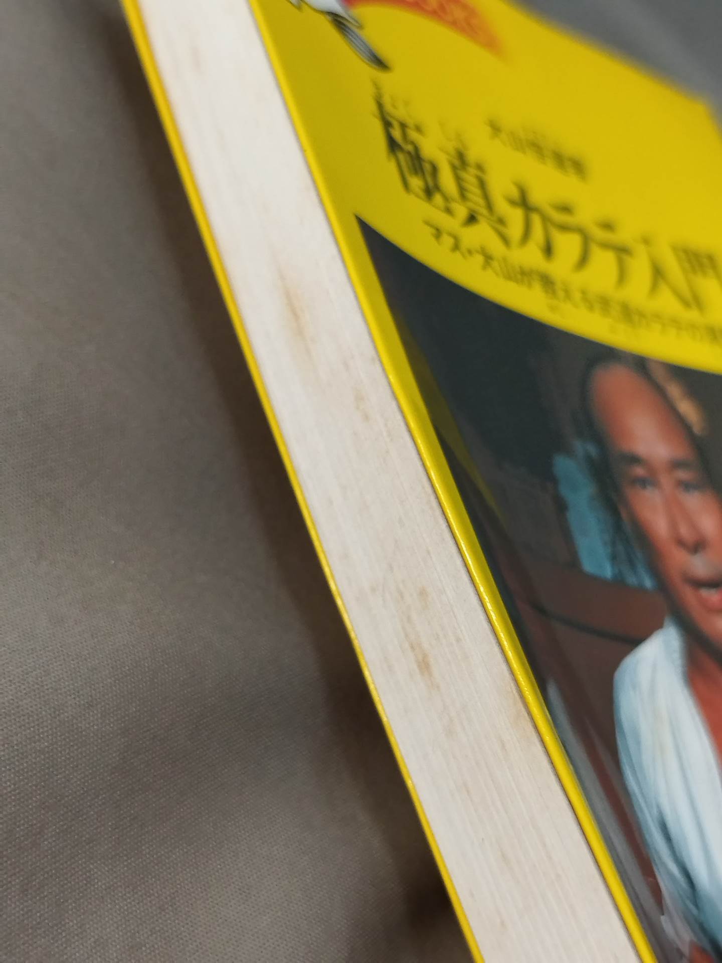 極真カラテ入門 マス・大山が教える武道カラテの真髄