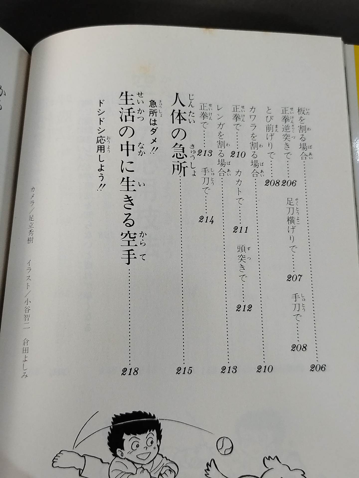 極真カラテ入門 マス・大山が教える武道カラテの真髄