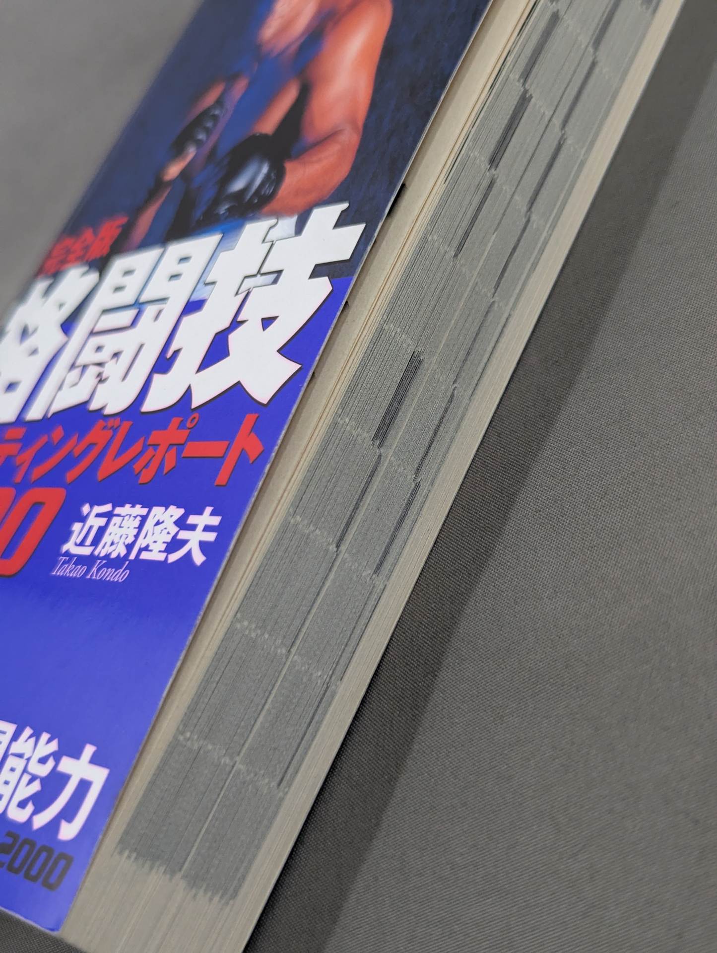 Complete Martial Arts Scouting Report 2000 258 Combat Abilities