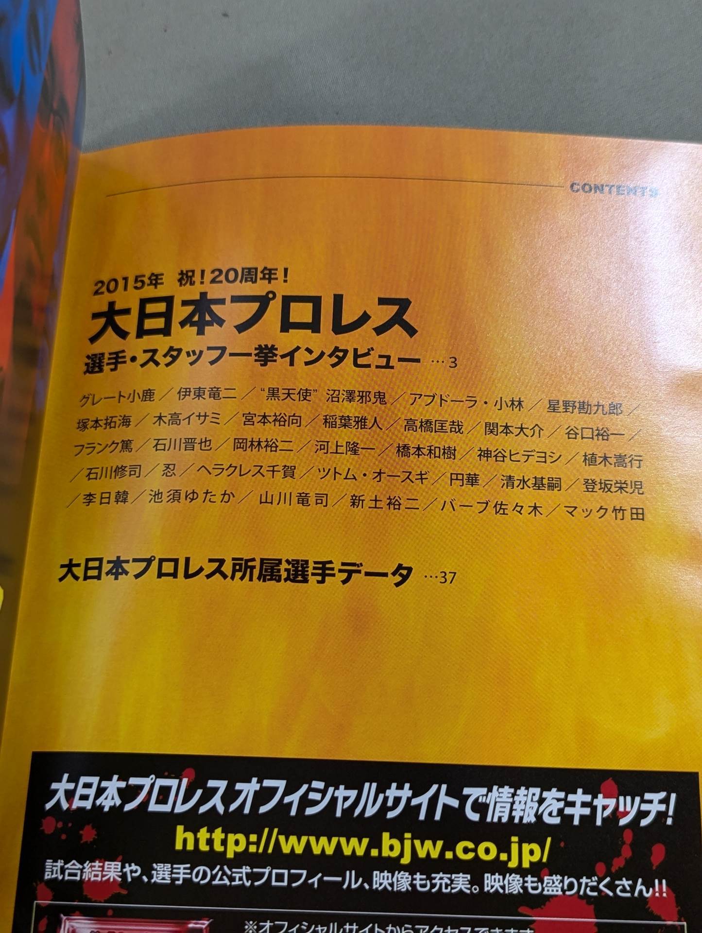 プロレス文藝 第九号