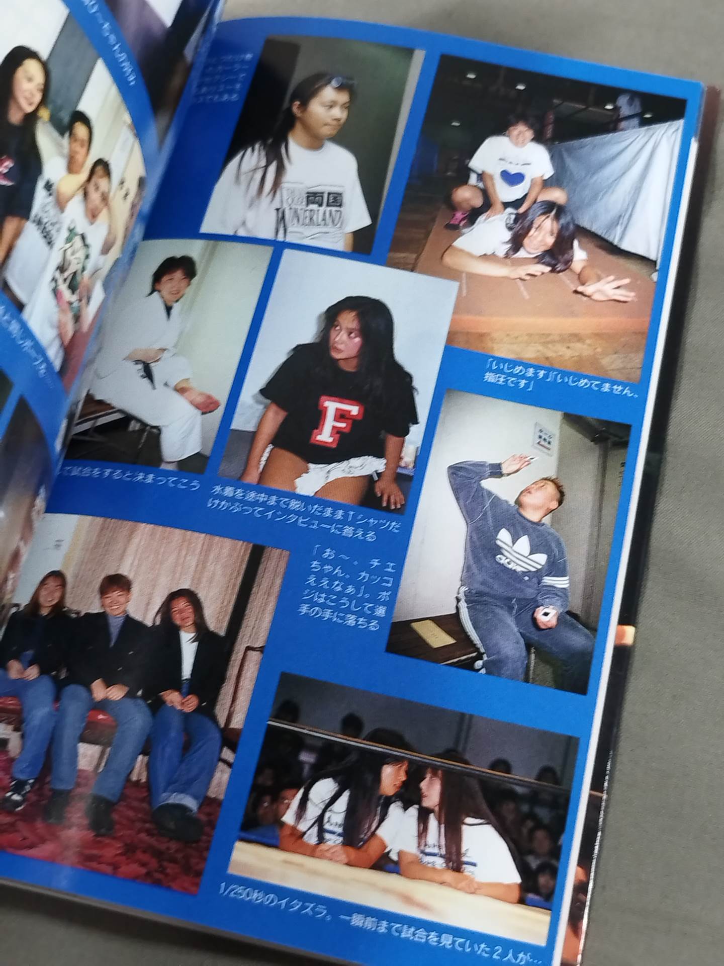 JWP ピュアハート・ストーリーズ 女子プロレス専属カメラマン日記・パート②