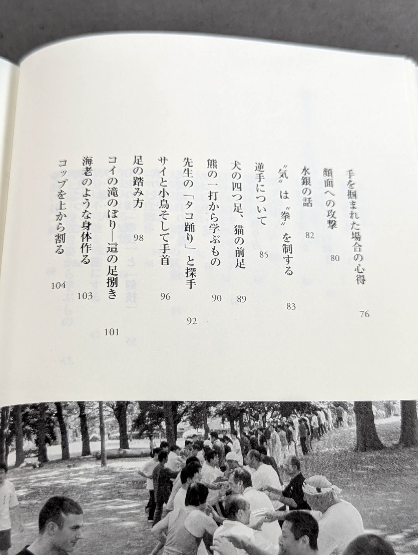 拳聖 澤井健一先生(新版)