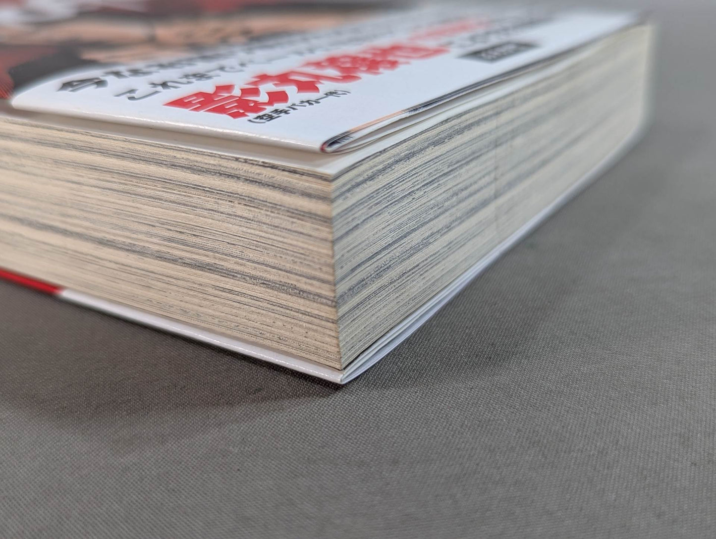 Fight Legend Rock SHOGO