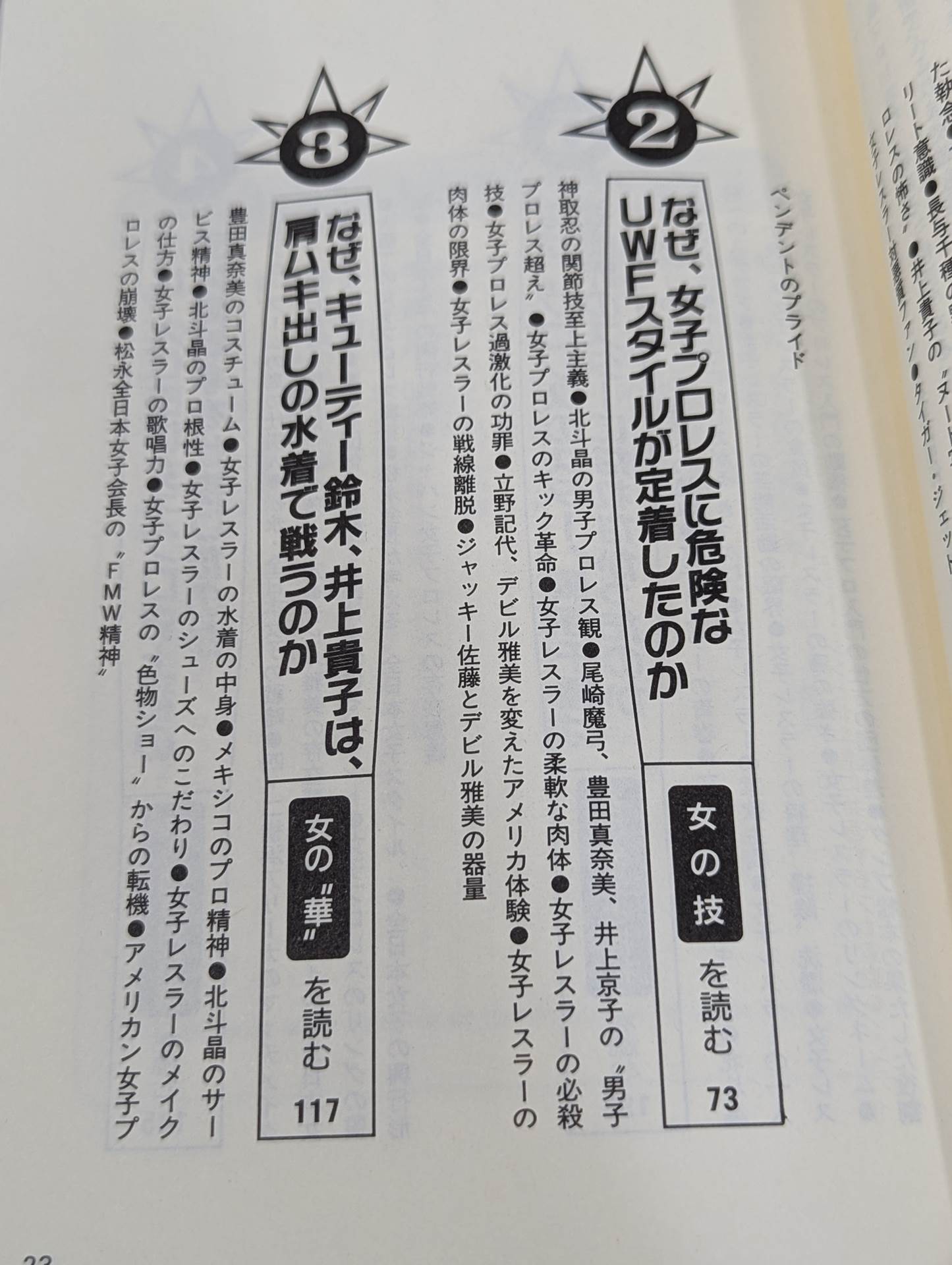 Pocket Book 51 How to Read Women's Pro Wrestling