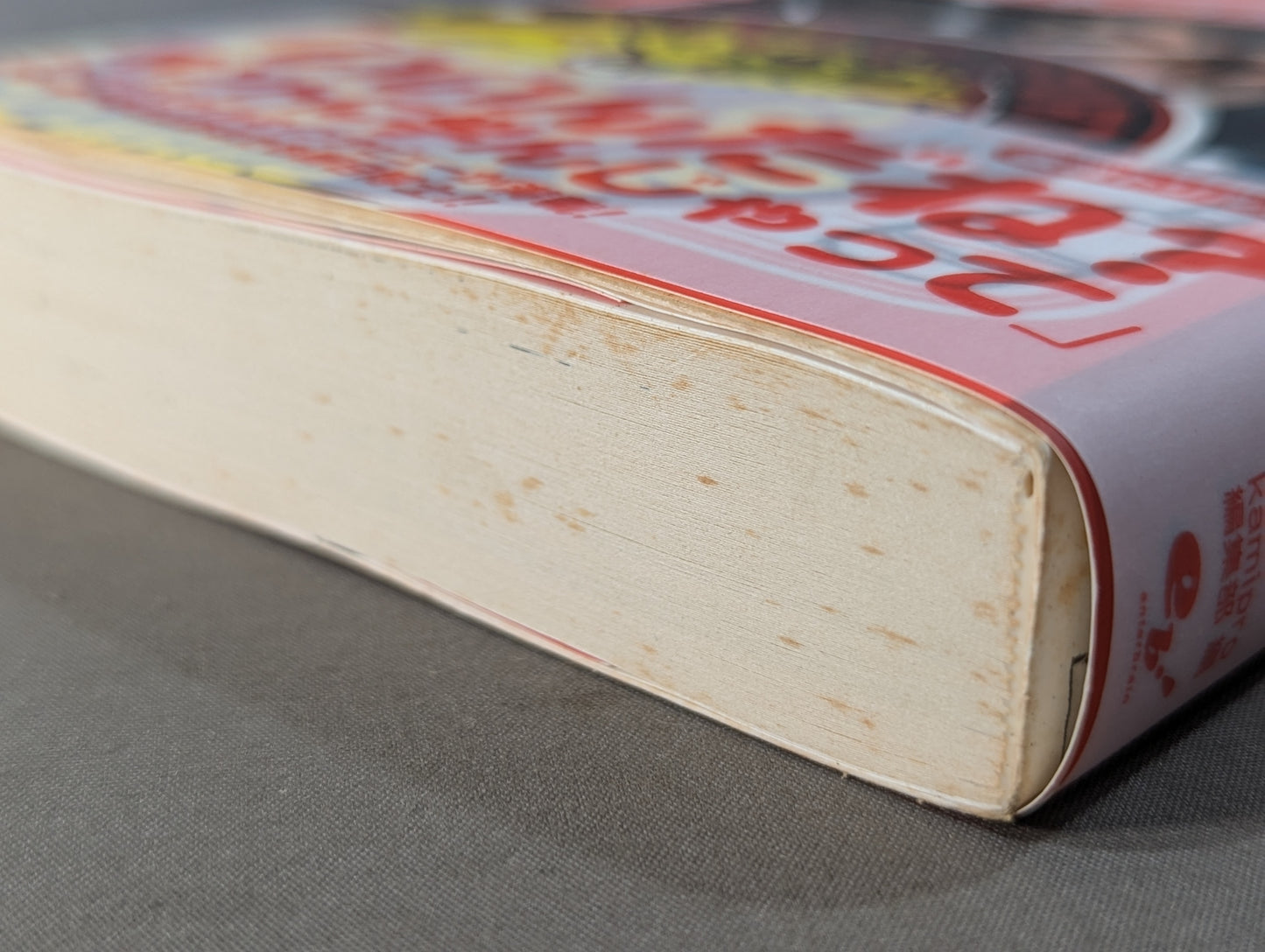 New Japan Pro Wrestling Study Book